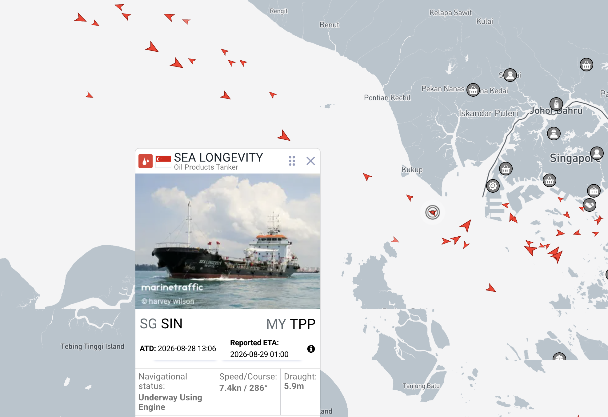 MarineTraffic showing vessel SEA LONGEVITY and surrounding ship traffic across the Singapore Strait